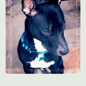 Meet your Posher, Eddie